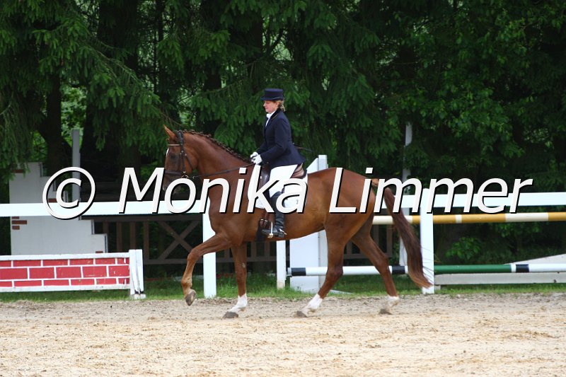 006M3311_Dressur L.JPG